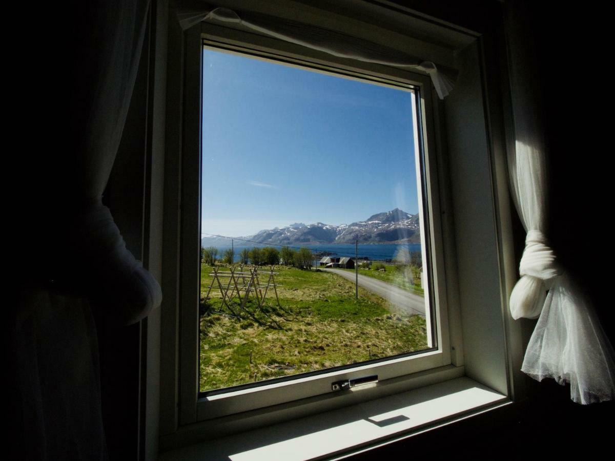 Midnight Sun View Lofoten Leknes Eksteriør billede